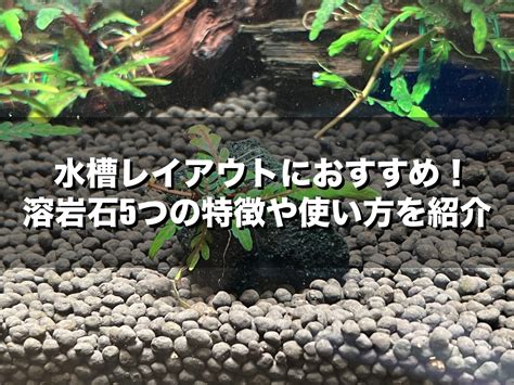 水中石|【石選びがわかる！】水槽レイアウトにおすすめの石10種を紹介！